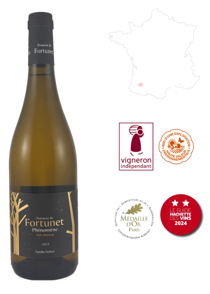 Phénomène, Domaine de Fortunet